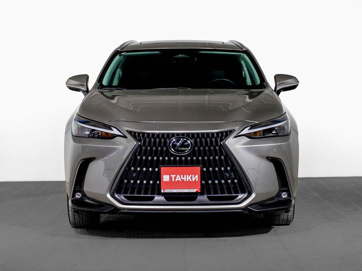 Lexus NX350 2022 - фото автомобиля