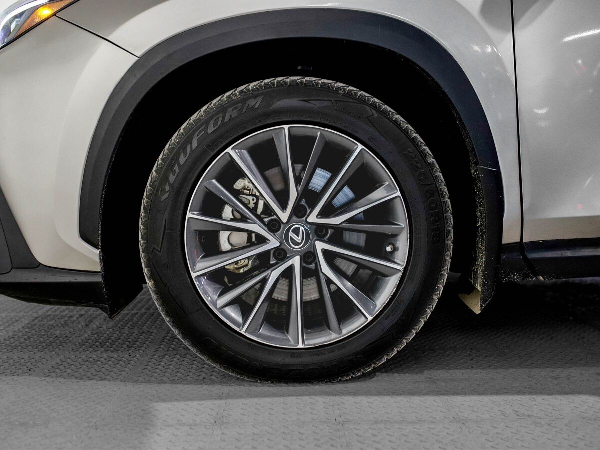 Lexus NX350 2022 - фото автомобиля