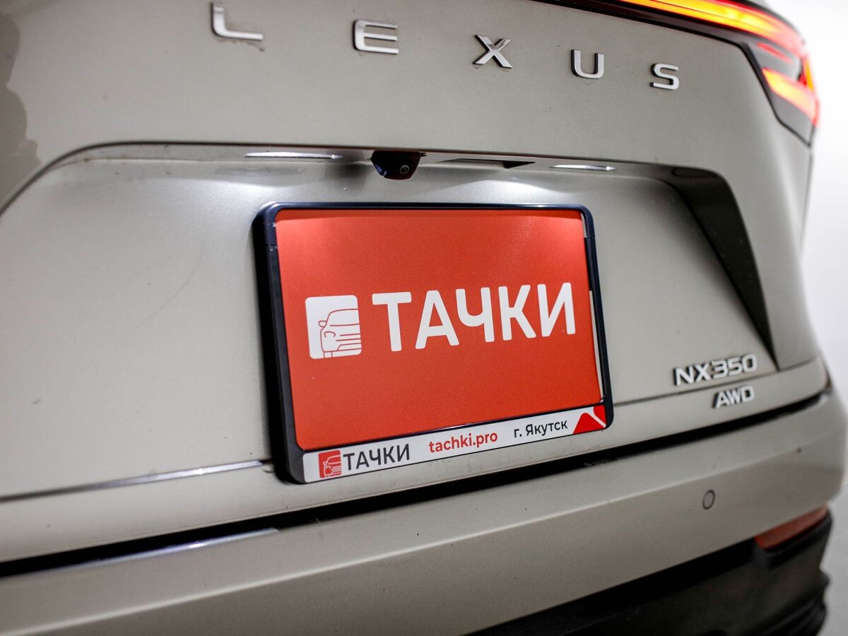 Lexus NX350 2022 - фото автомобиля