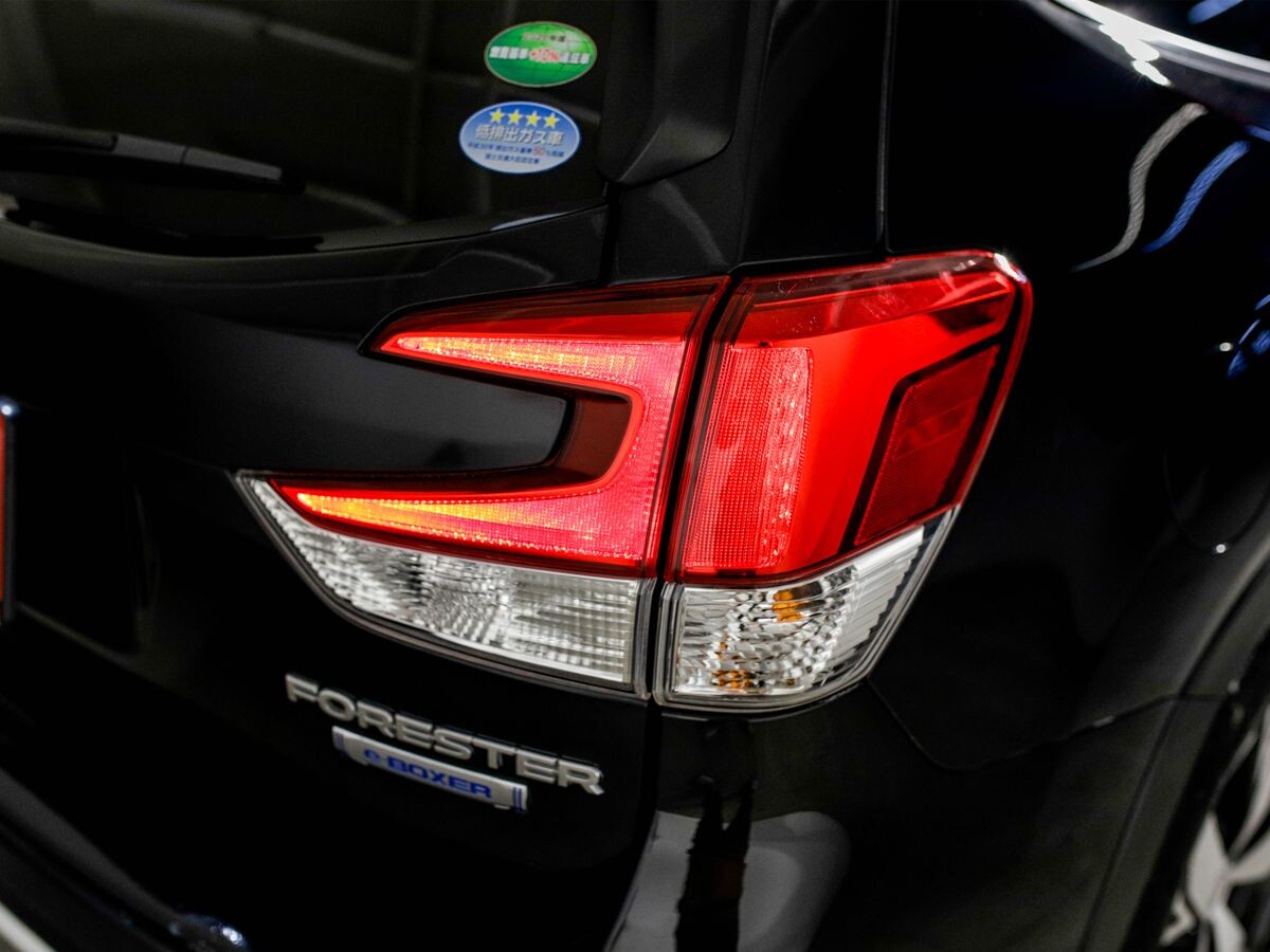 Subaru Forester 2019 - фото автомобиля