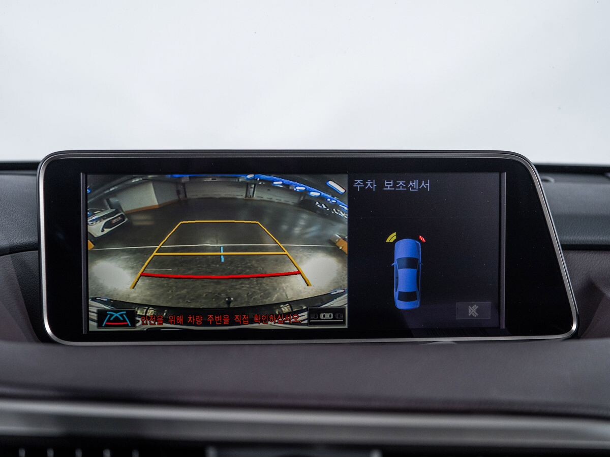 Lexus RX 2019 - фото автомобиля