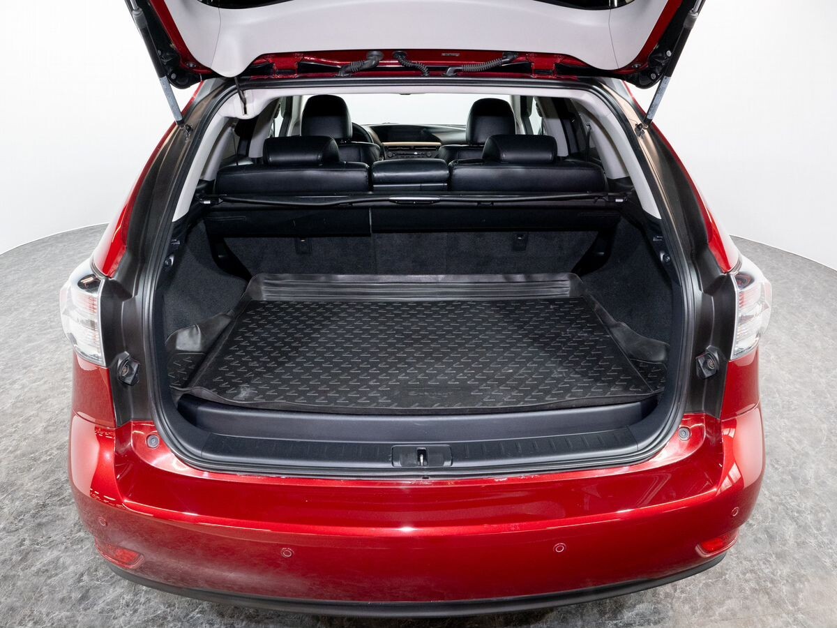 Lexus RX 2009 - фото автомобиля