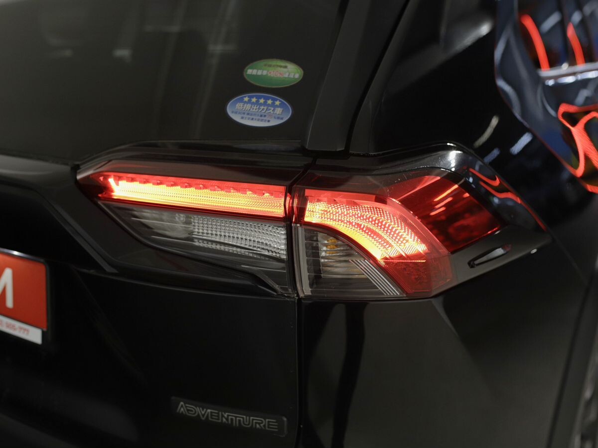 Toyota RAV4 2019 - фото автомобиля