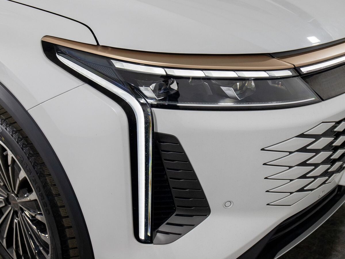 Exeed RX 2023 - фото автомобиля