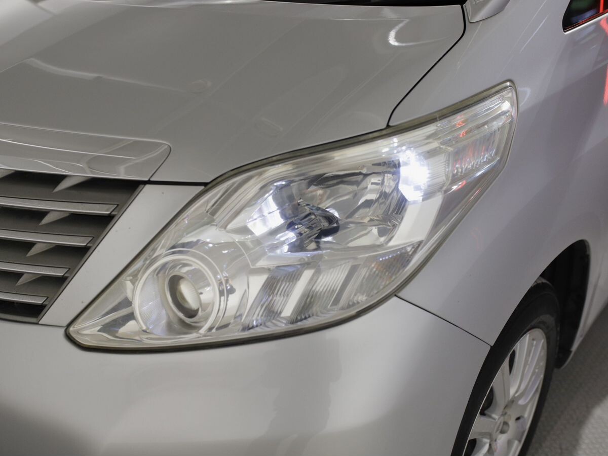 Toyota Alphard 2010 - фото автомобиля