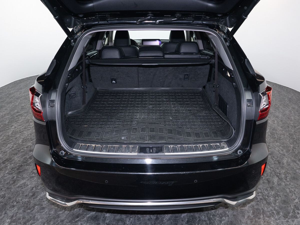 Lexus RX 2019 - фото автомобиля