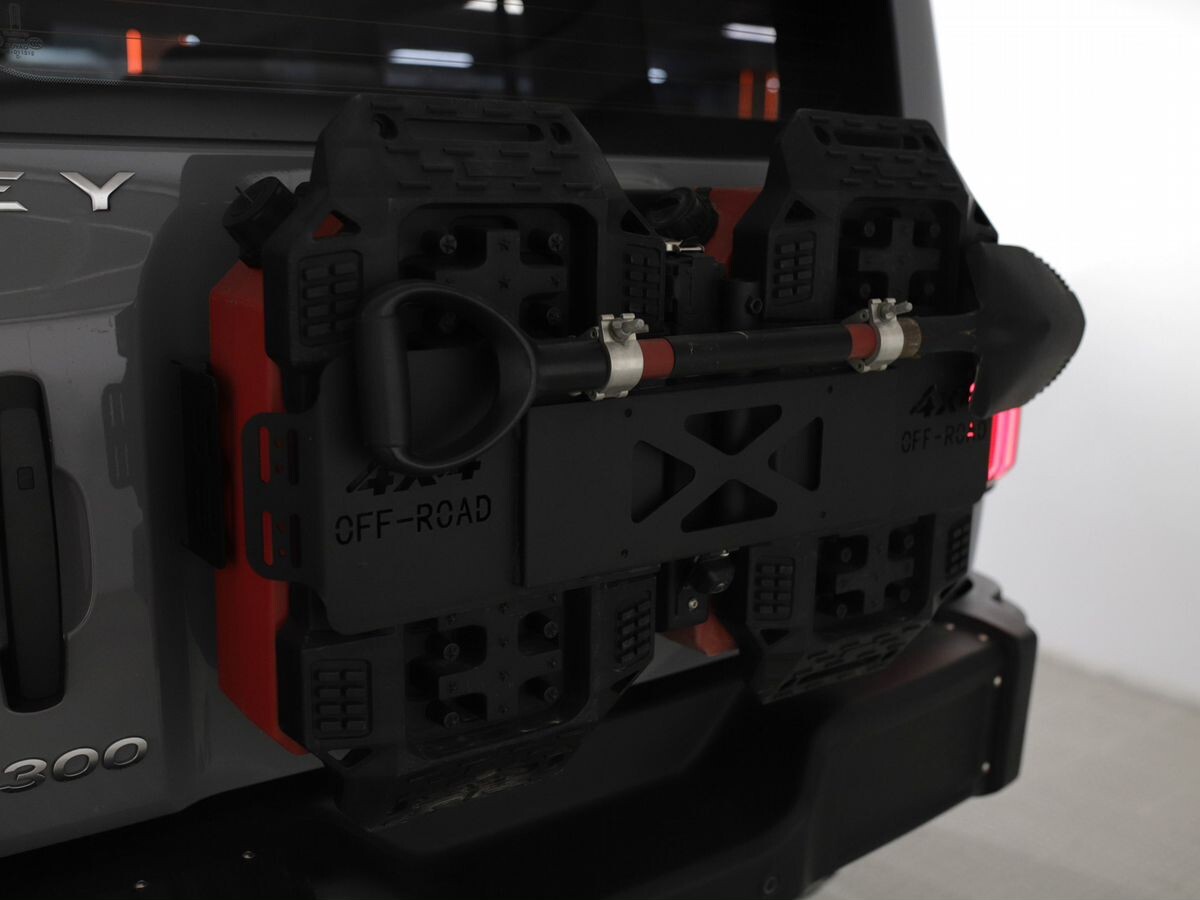 Tank 300 2020 - фото автомобиля