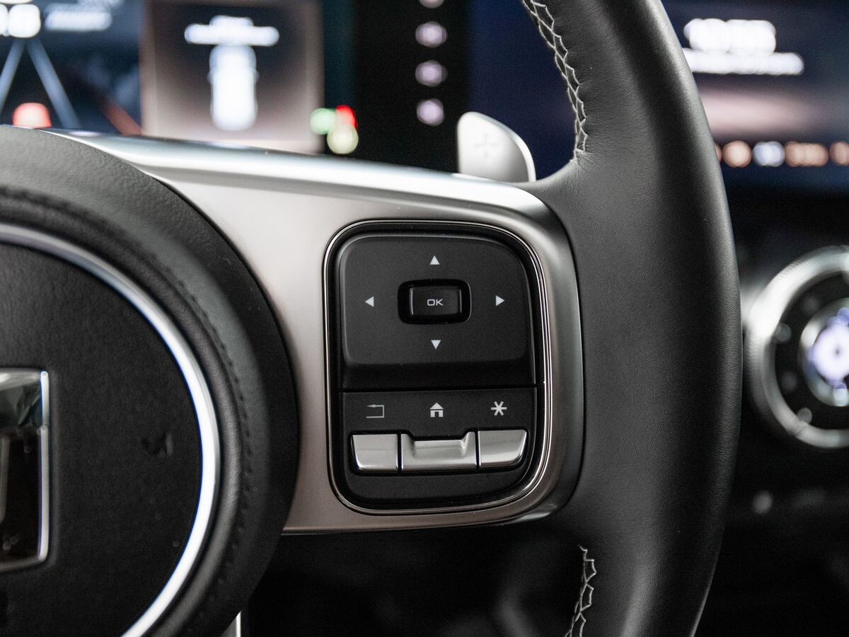 Tank 300 2022 - фото автомобиля