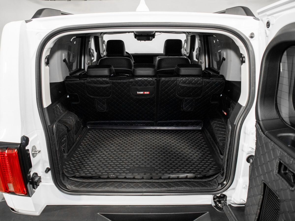 Tank 300 2022 - фото автомобиля