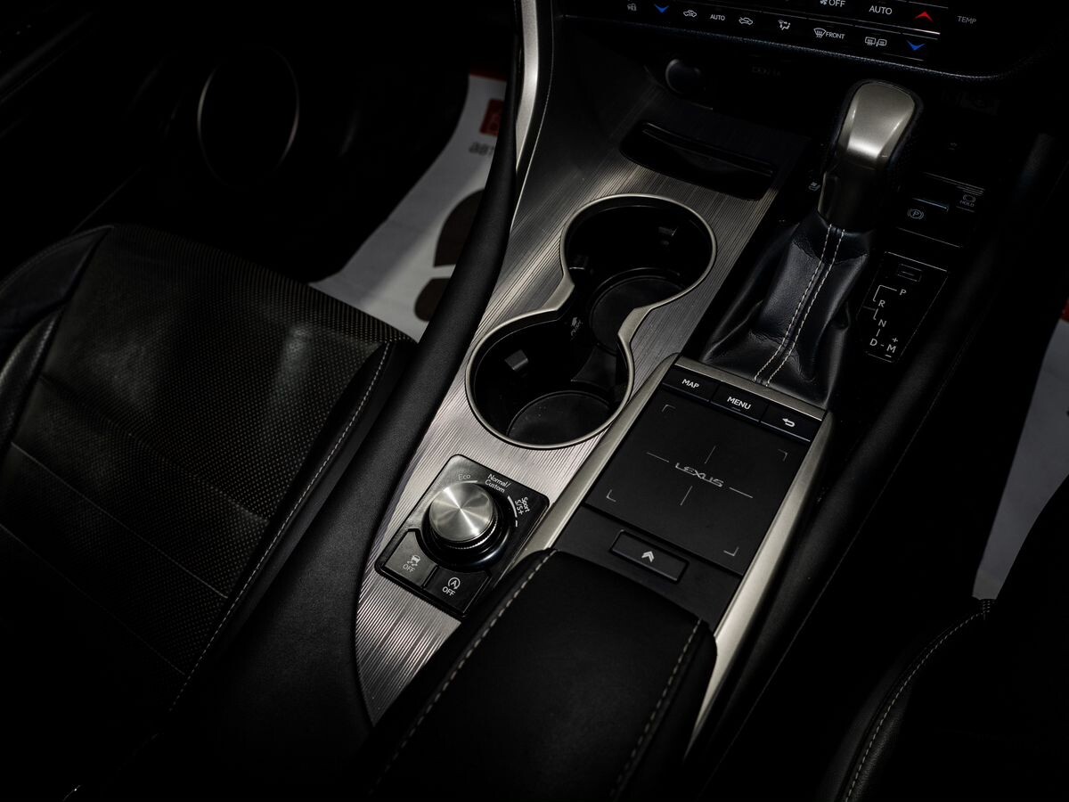 Lexus RX300 2020 - фото автомобиля