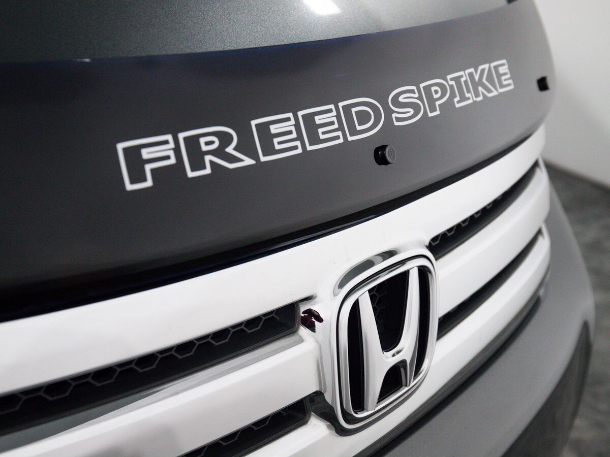 Honda Freed 2010 - фото автомобиля