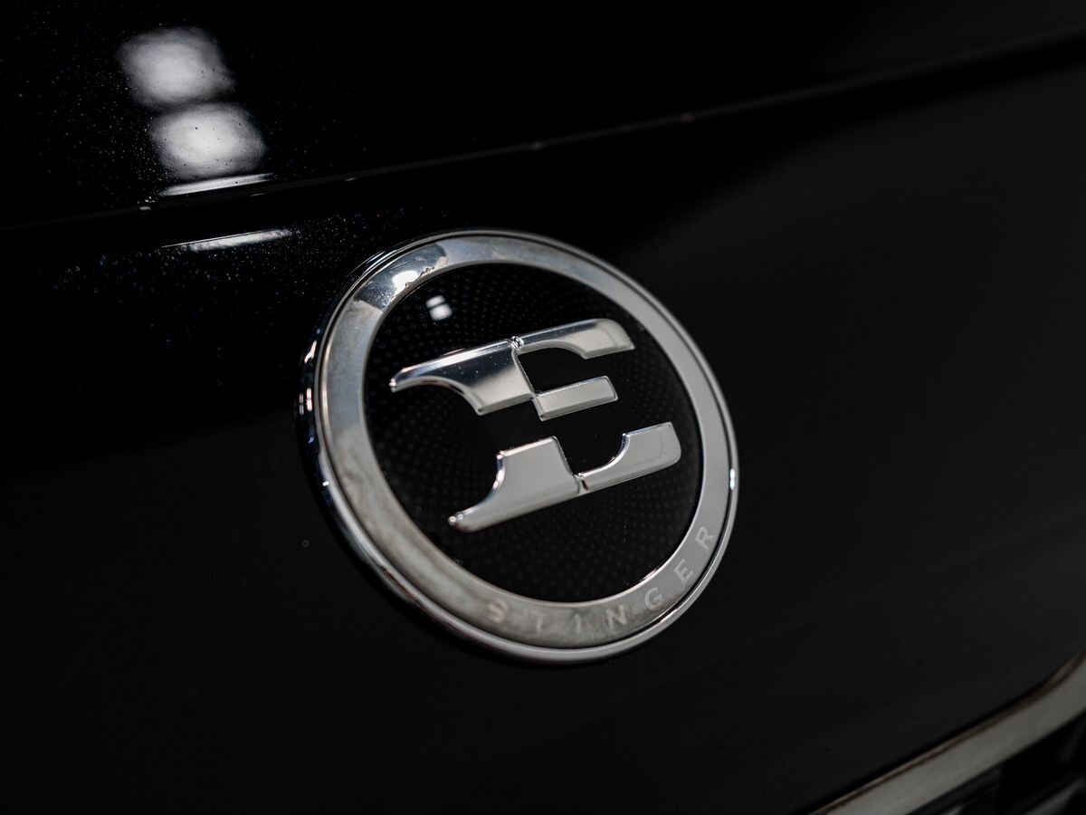 Kia Stinger 2019 - фото автомобиля