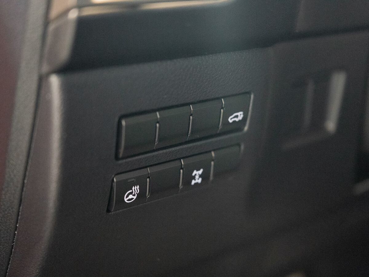 Lexus NX 2020 - фото автомобиля