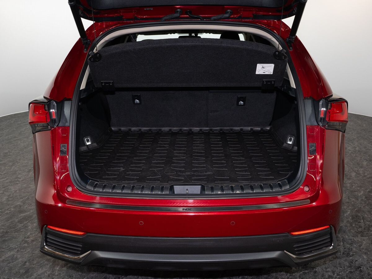 Lexus NX 2020 - фото автомобиля