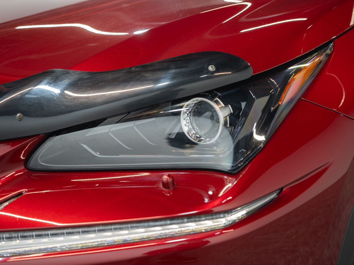 Lexus NX 2020 - фото автомобиля