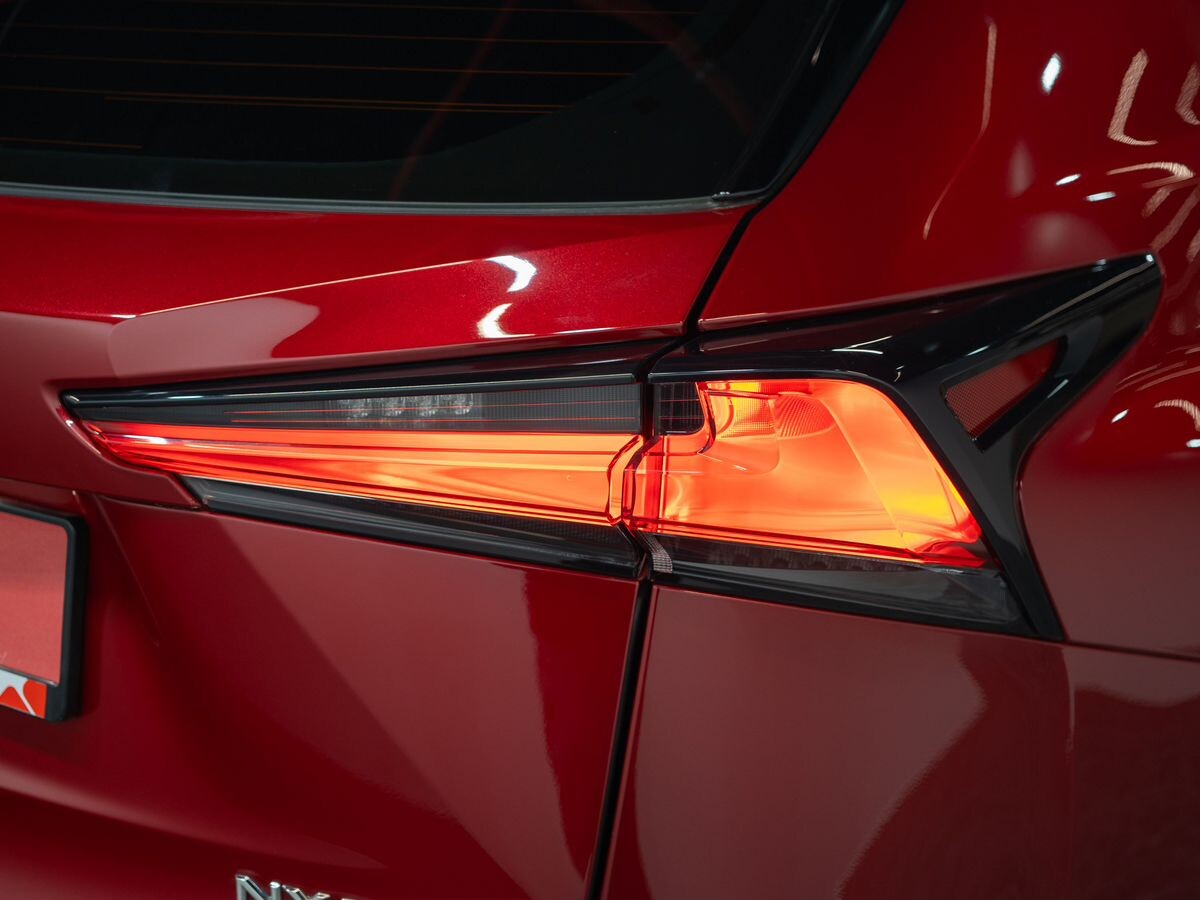 Lexus NX 2020 - фото автомобиля