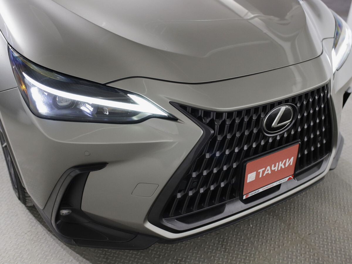 Lexus NX 2022 - фото автомобиля