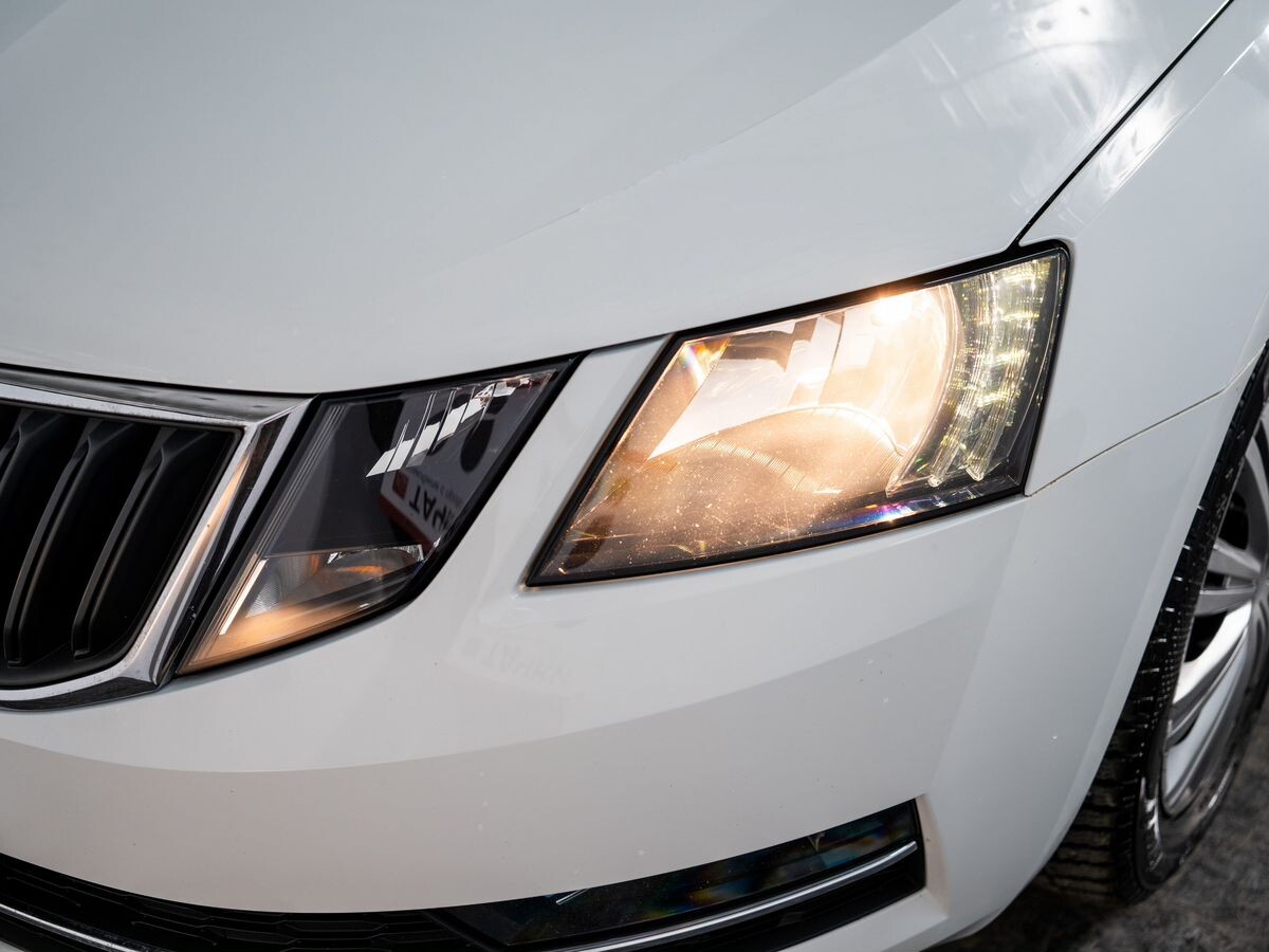 Skoda Octavia 2017 - фото автомобиля