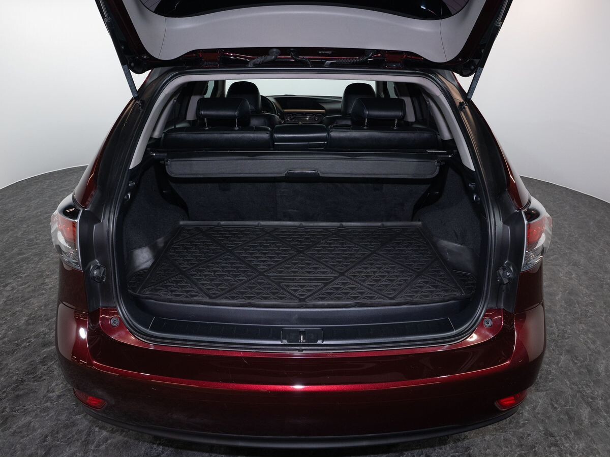 Lexus RX 2013 - фото автомобиля