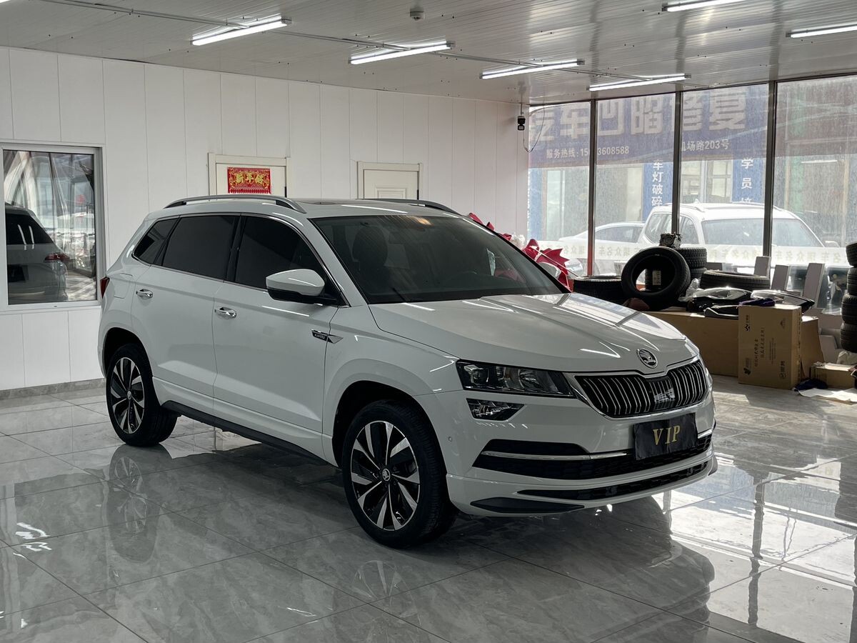 Skoda Karoq 2023 - фото автомобиля