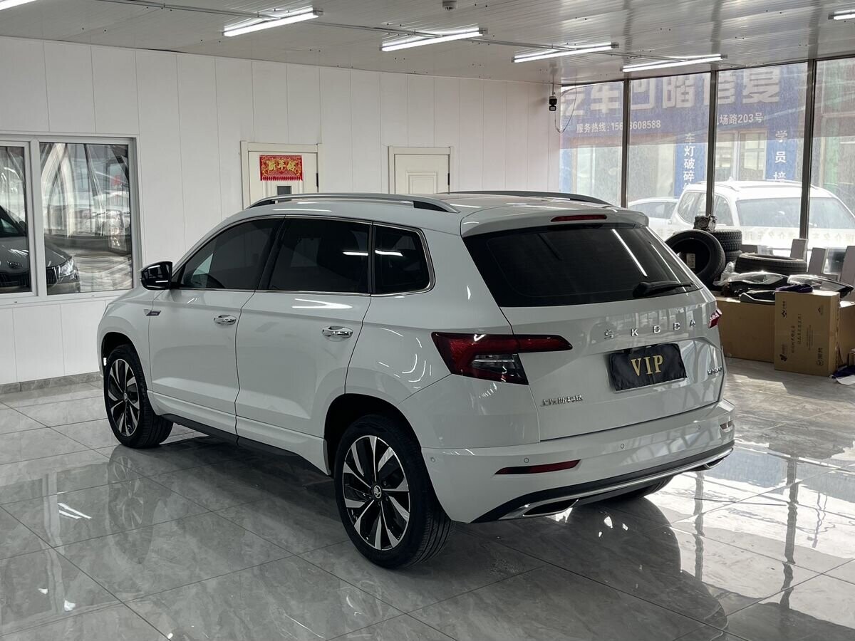 Skoda Karoq 2023 - фото автомобиля