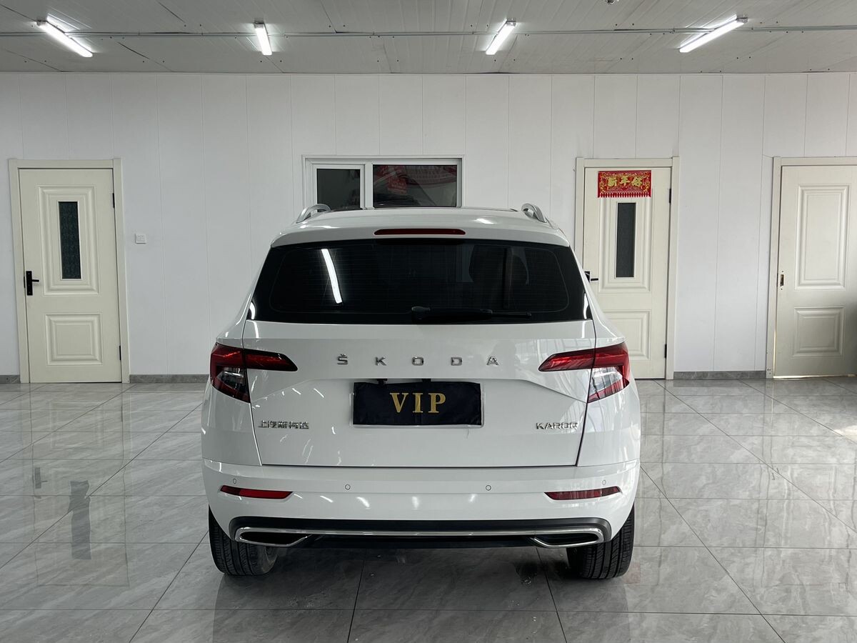 Skoda Karoq 2023 - фото автомобиля