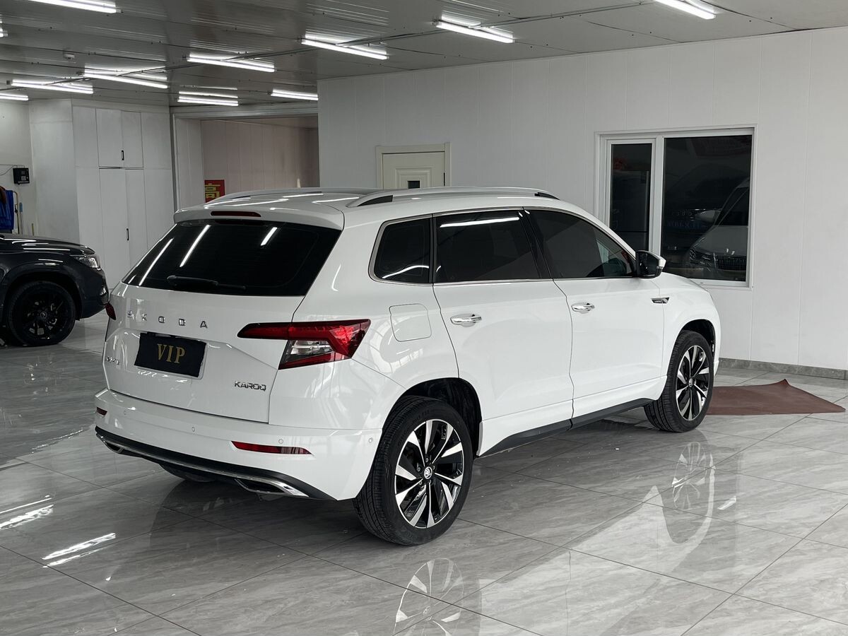 Skoda Karoq 2023 - фото автомобиля