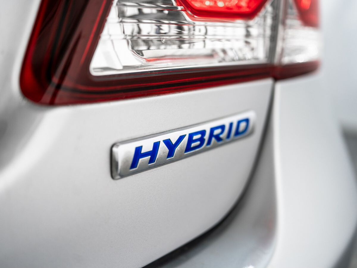 Honda Civic 2009 - фото автомобиля