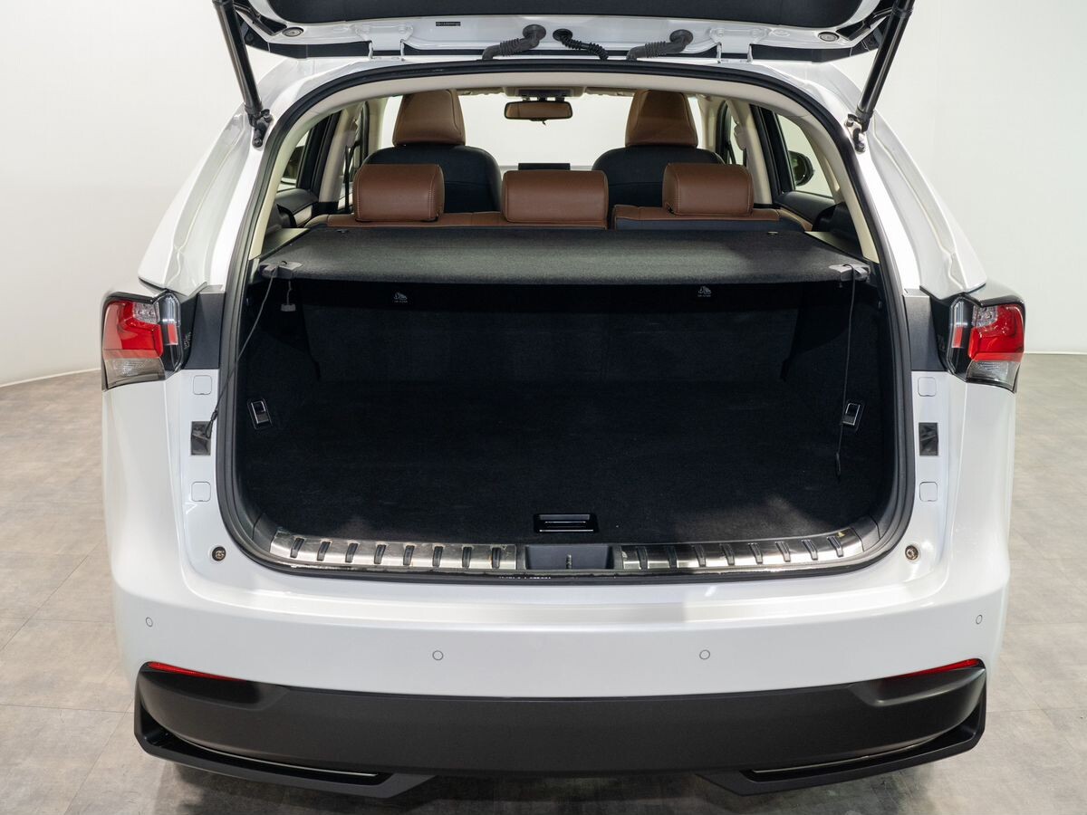 Lexus NX300h 2015 - фото автомобиля