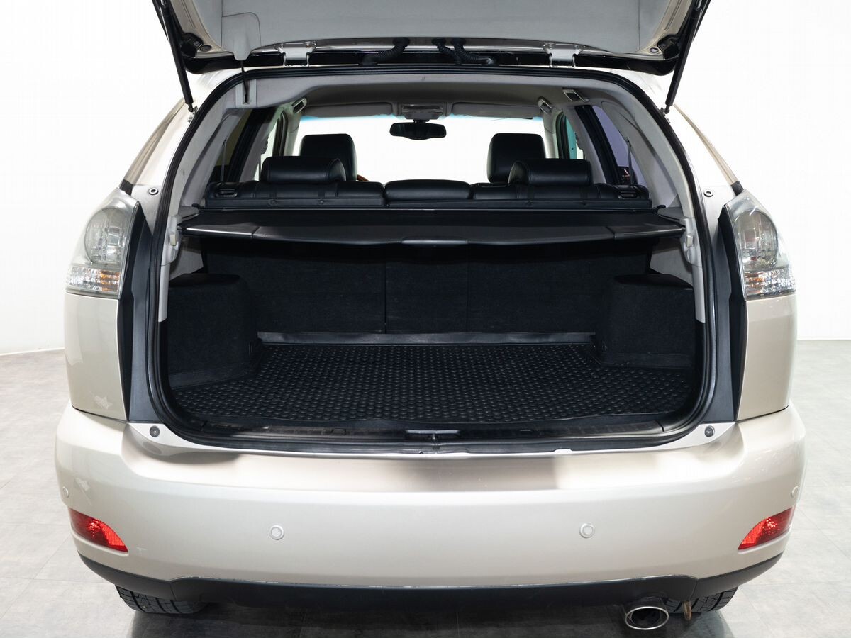 Lexus RX300 2004 - фото автомобиля