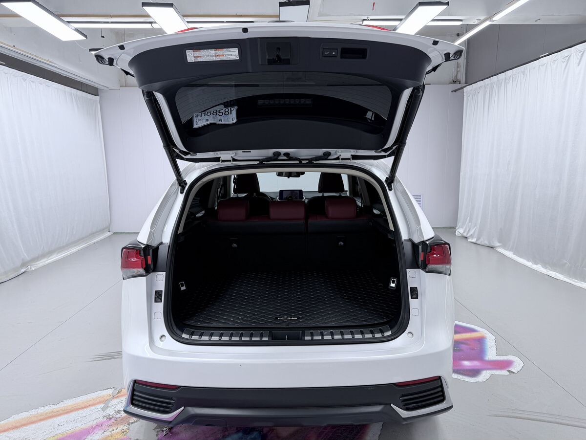 Lexus NX200 2021 - фото автомобиля