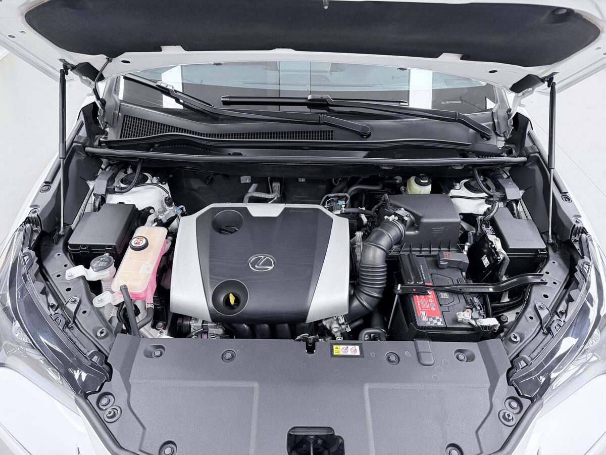 Lexus NX200 2021 - фото автомобиля