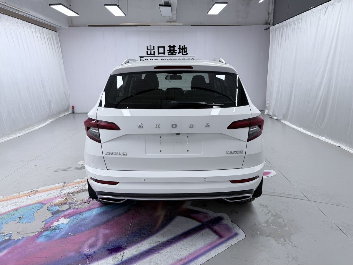 Skoda Karoq 2021 - фото автомобиля