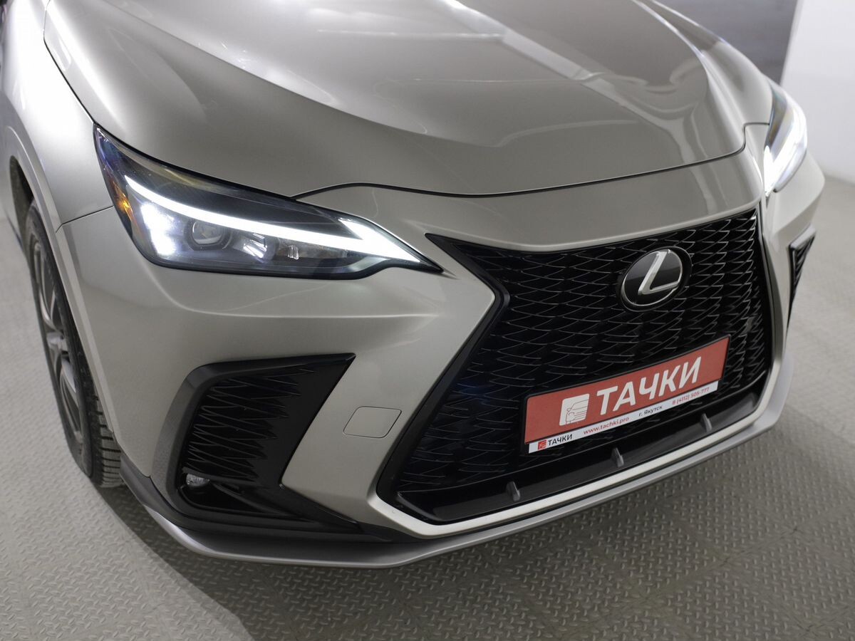 Lexus NX350 2022 - фото автомобиля