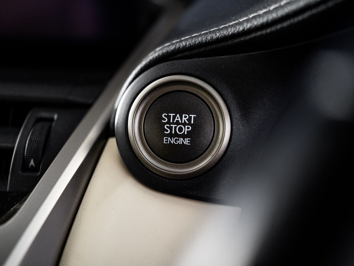 Lexus NX300 2019 - фото автомобиля