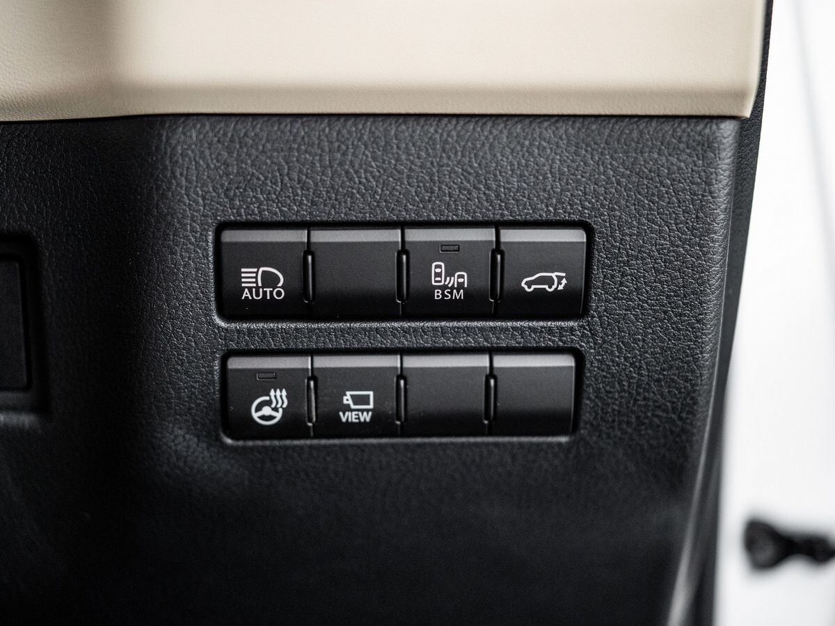 Lexus NX300 2019 - фото автомобиля