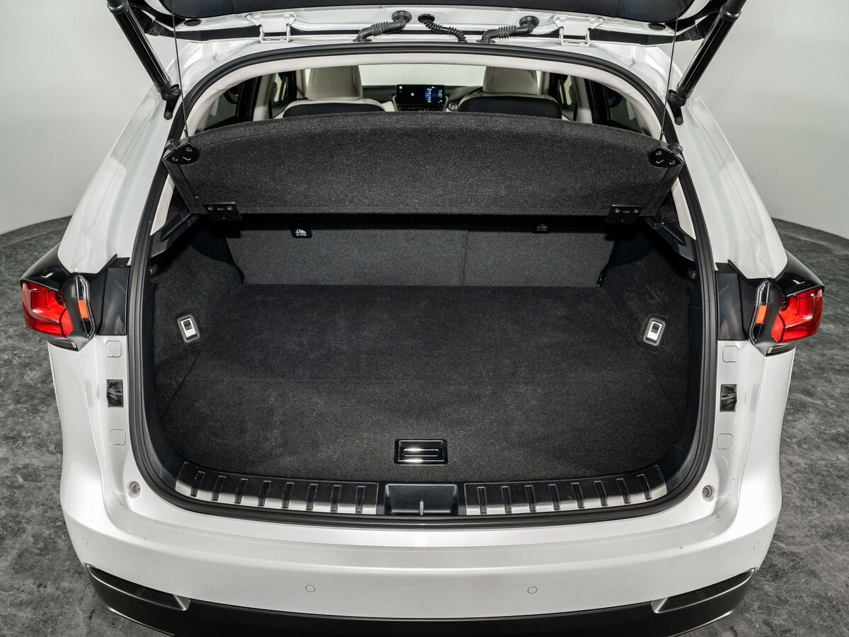 Lexus NX300 2019 - фото автомобиля