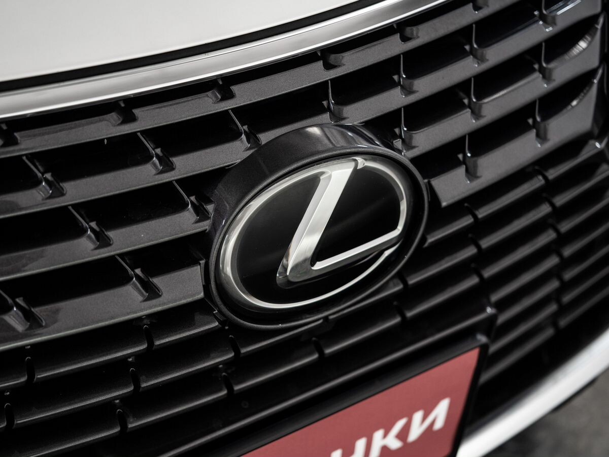 Lexus NX300 2019 - фото автомобиля