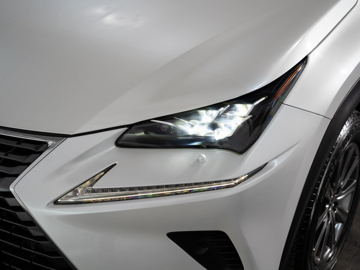 Lexus NX300 2019 - фото автомобиля