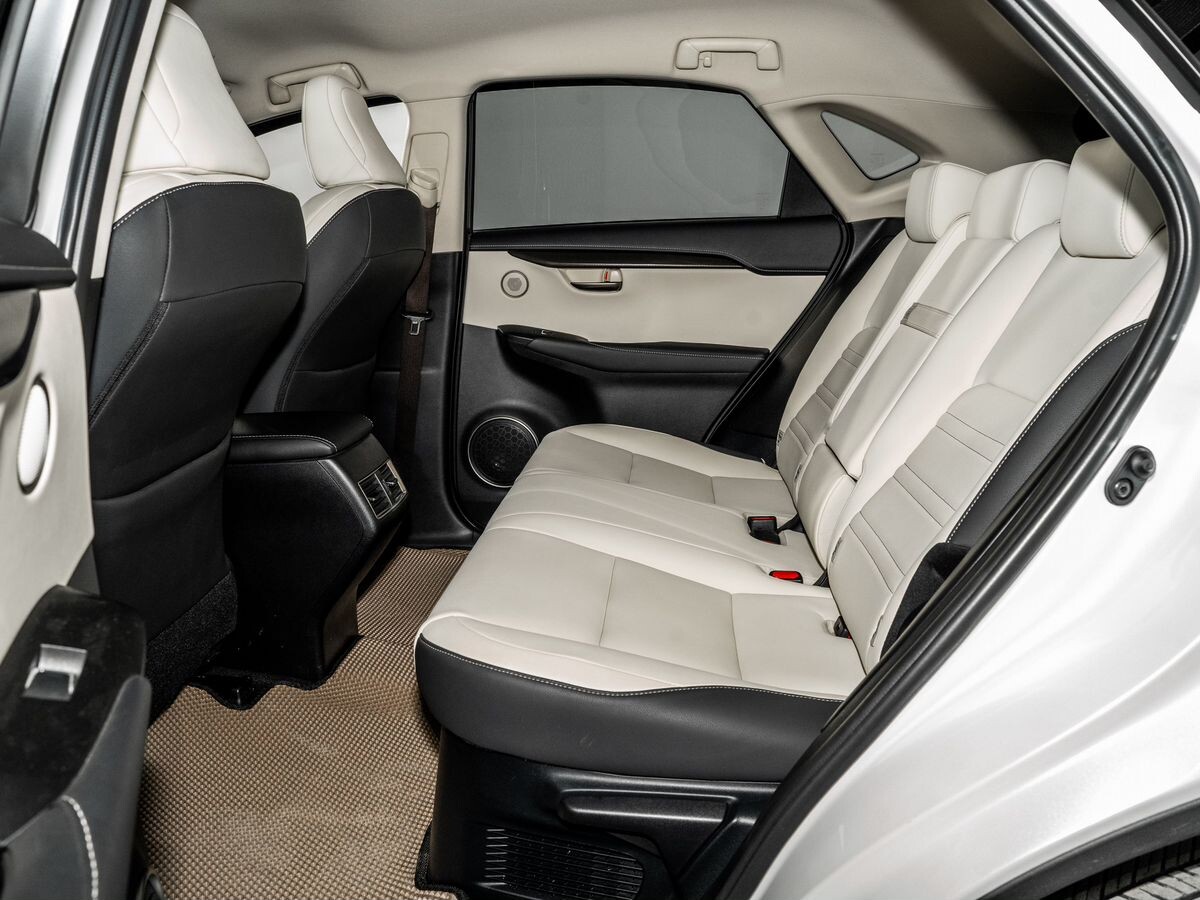 Lexus NX300 2019 - фото автомобиля