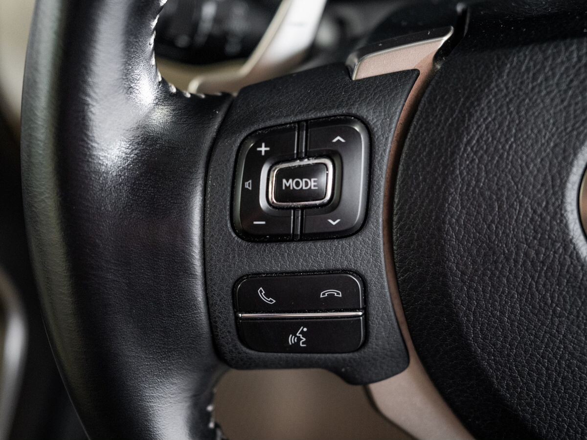 Lexus NX300 2019 - фото автомобиля