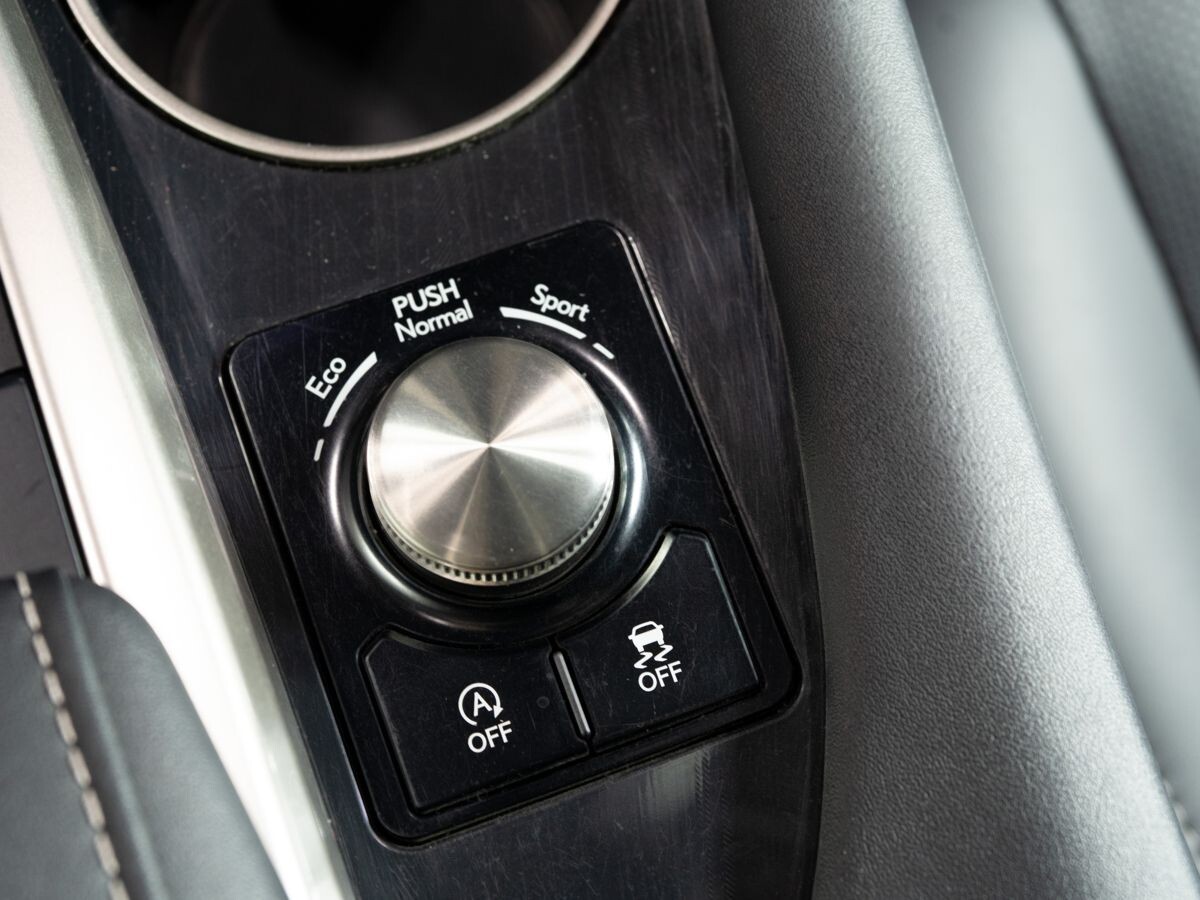 Lexus RX300 2019 - фото автомобиля