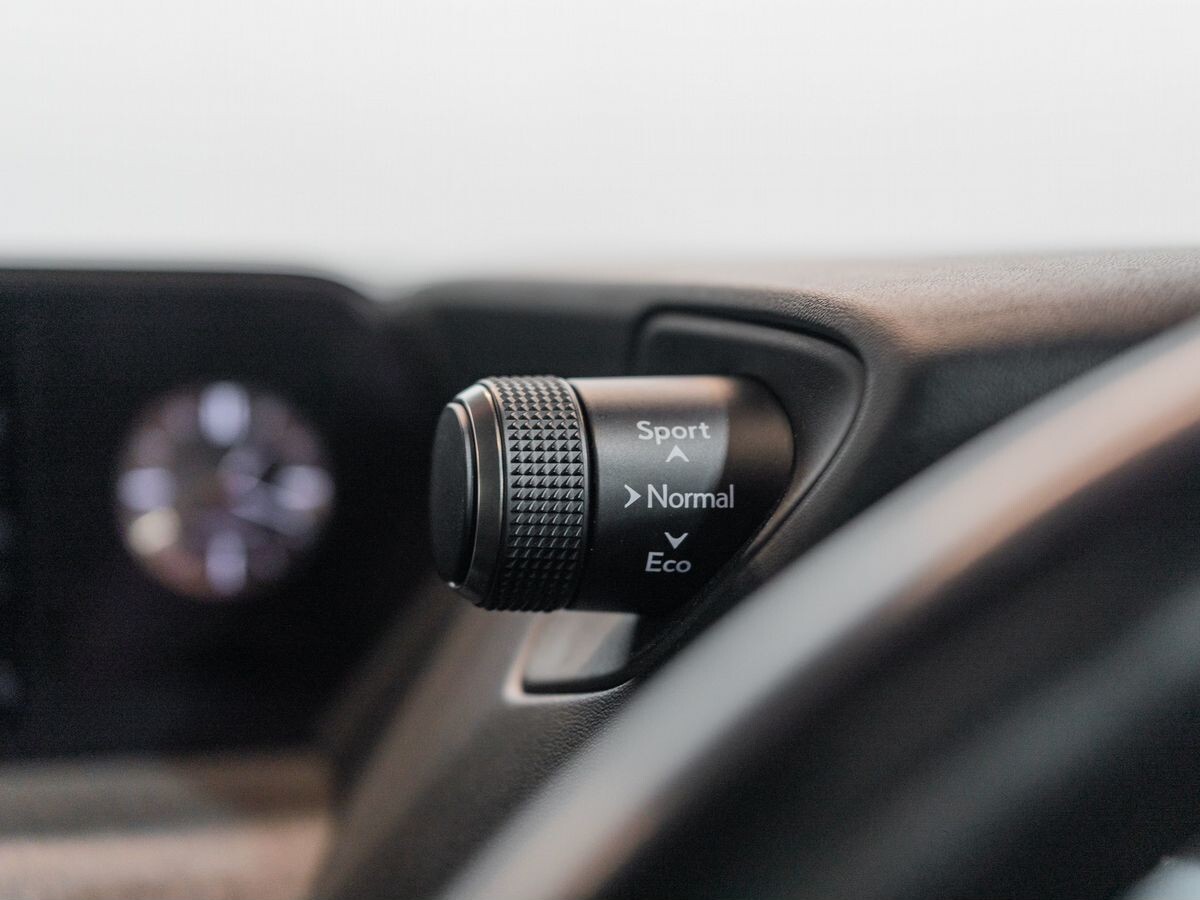 Lexus UX250h 2019 - фото автомобиля