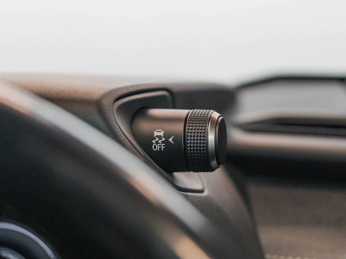 Lexus UX250h 2019 - фото автомобиля