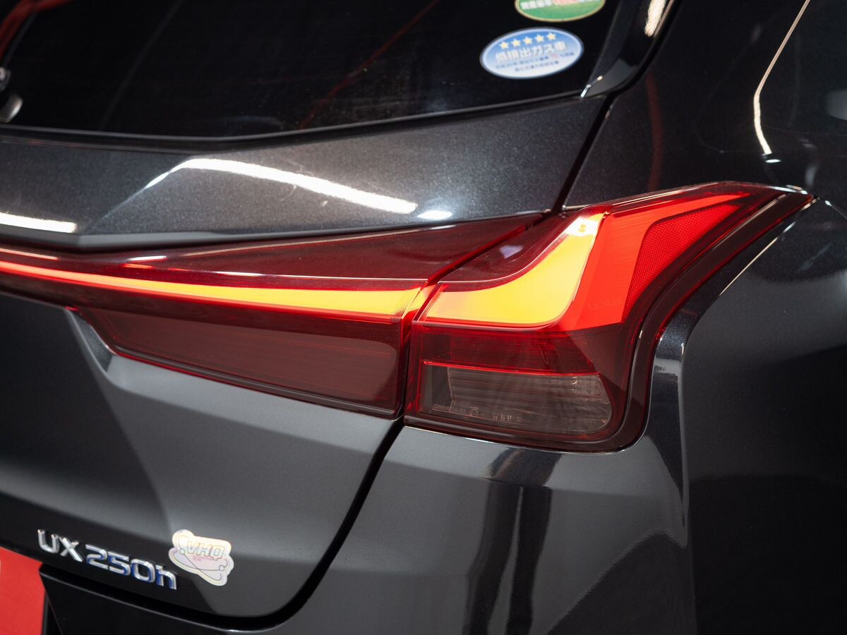 Lexus UX250h 2019 - фото автомобиля