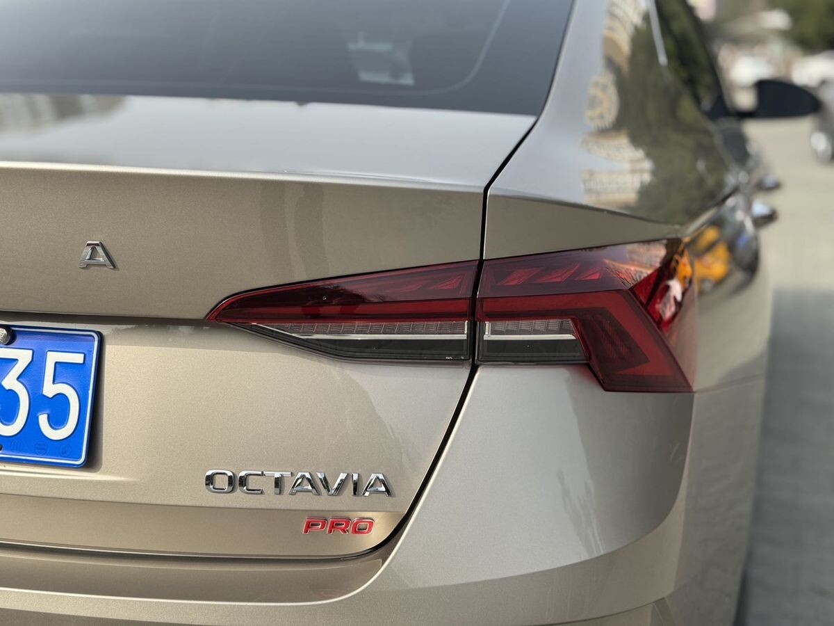 Skoda Octavia 2022 - фото автомобиля