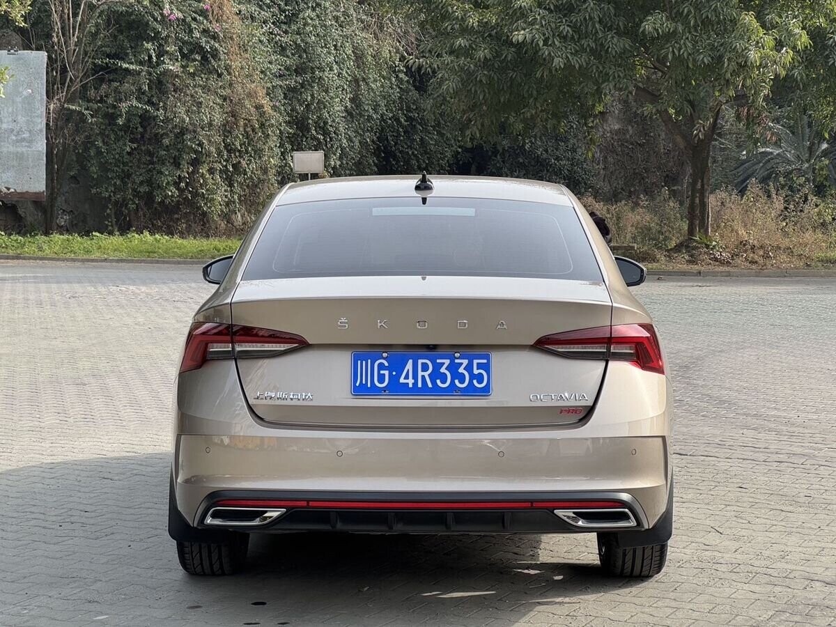 Skoda Octavia 2022 - фото автомобиля