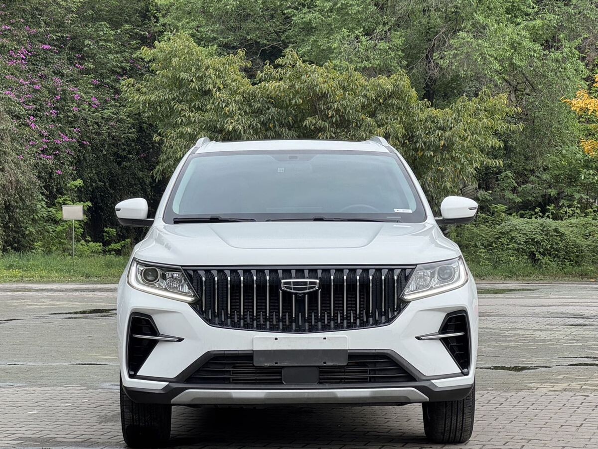 Geely Vision X6 Pro 2021 - фото автомобиля