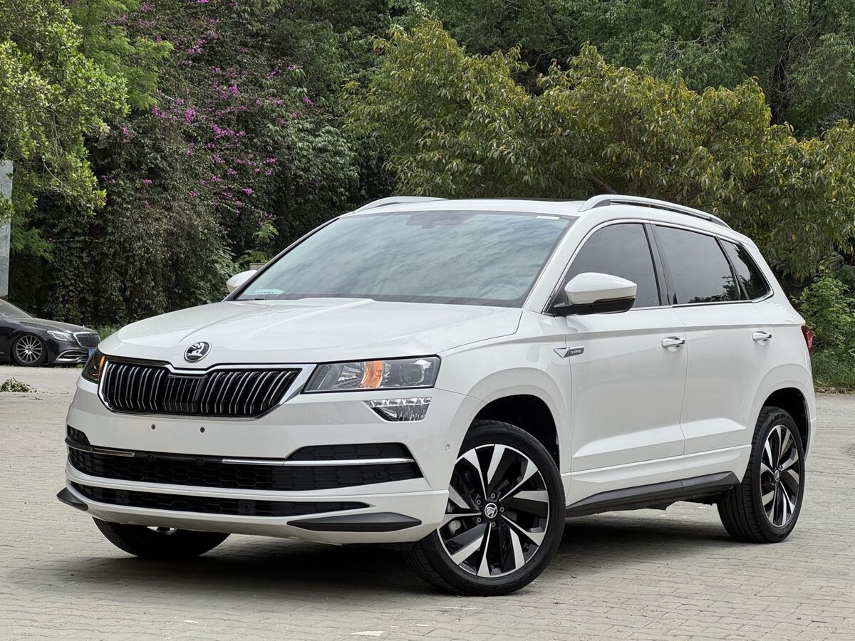 Skoda Karoq 2022 - фото автомобиля