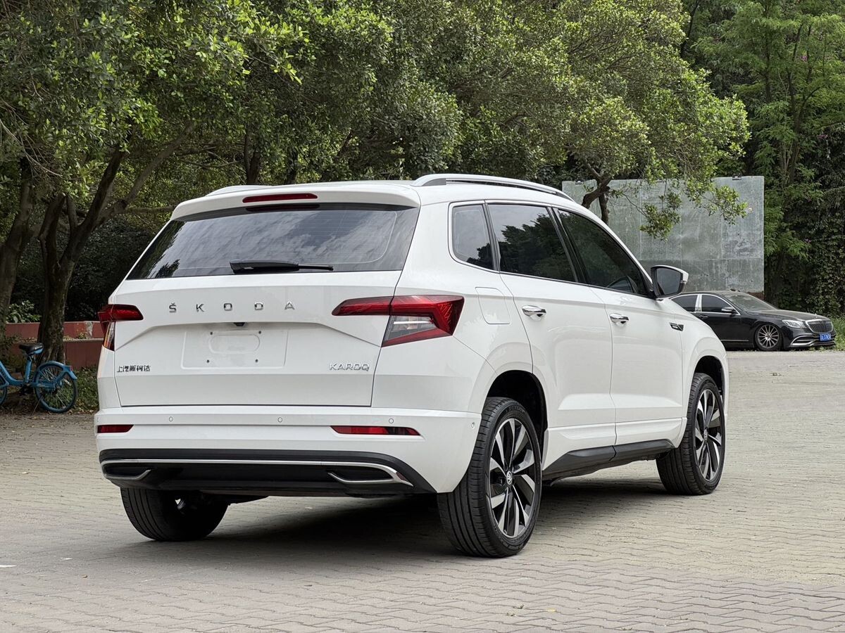 Skoda Karoq 2022 - фото автомобиля